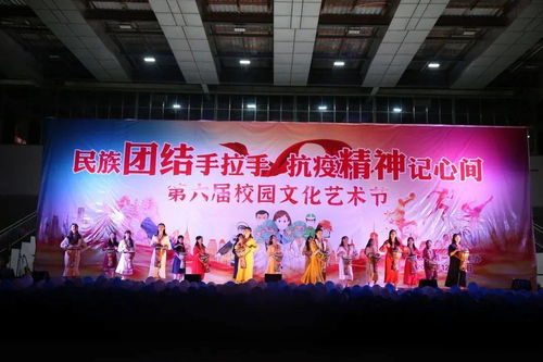 藝術之花綻放邊城，青春夢想揚帆起航——鎮康縣第一中學第六屆校園文化藝術節圓滿落幕